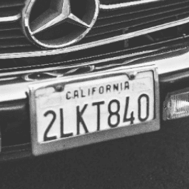 License PlateIssuance